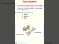 Feed System : Mould-20