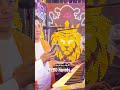 بيبو هريدي اغنيه في كل حي ولد عتره