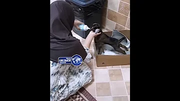 الخادمة تورطت في الحلال وسط البيت 