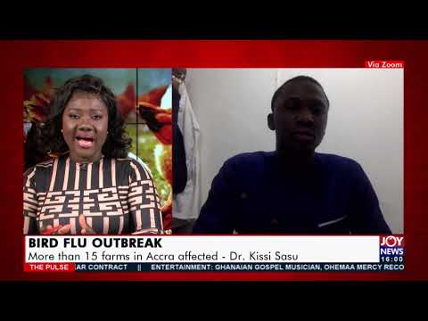 Bird Flu Outbreak: Veterinary Services intensify contaminated measures - The Pulse (23-7-21) Bird Flu Outbreak: Veterinary Services intensify contaminated measures - The Pulse (23-7-21)