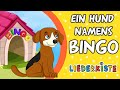 Bingo  kinderlieder zum mitsingen  liederkiste