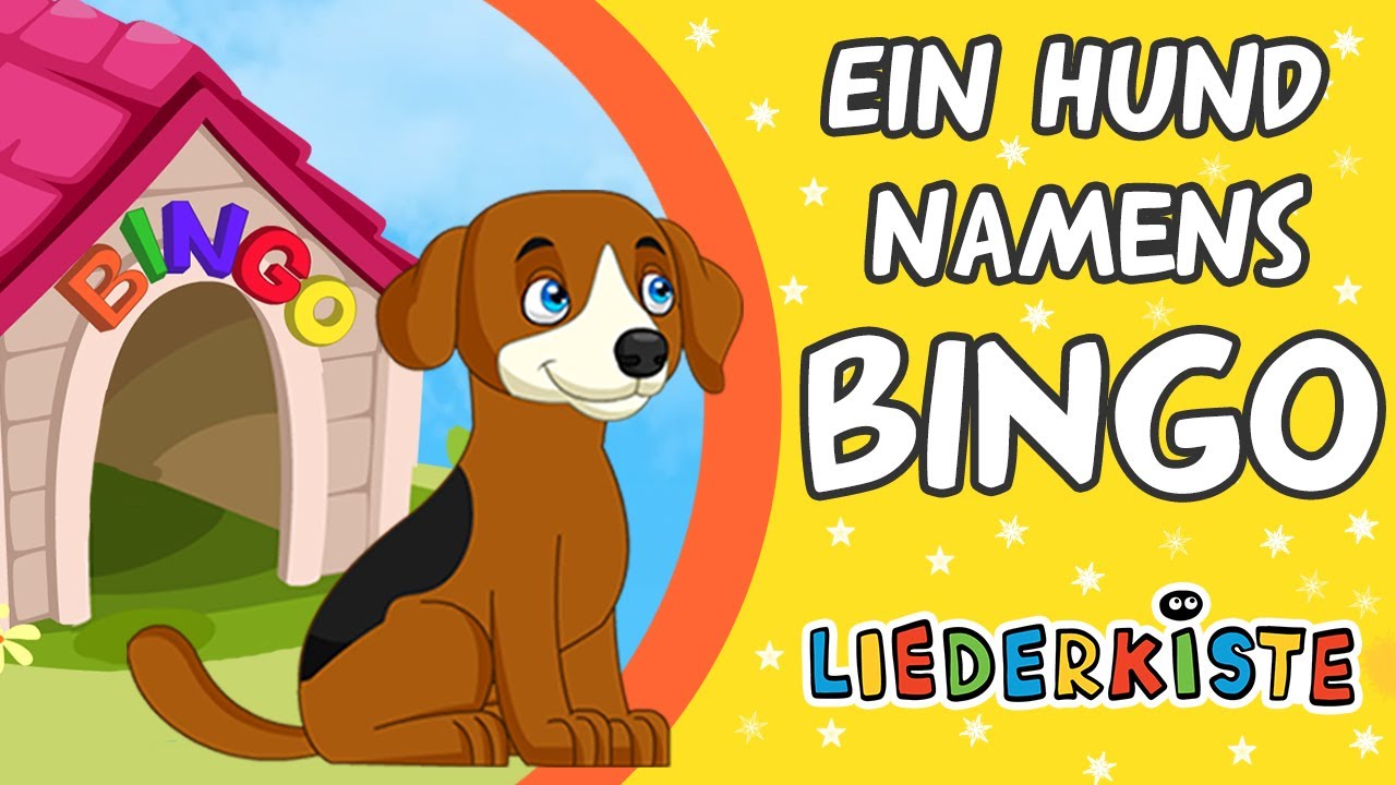 Niedliche Bingo Momente! 🧡 | Spaß mit Bluey und Bingo | Bluey - Deutsch Offizieller Kanal