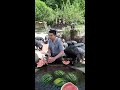 Feeding watermelon to pigs|スイカを食べる豚が可愛すぎる|돼지에게 수박 먹이기|西瓜喂猪