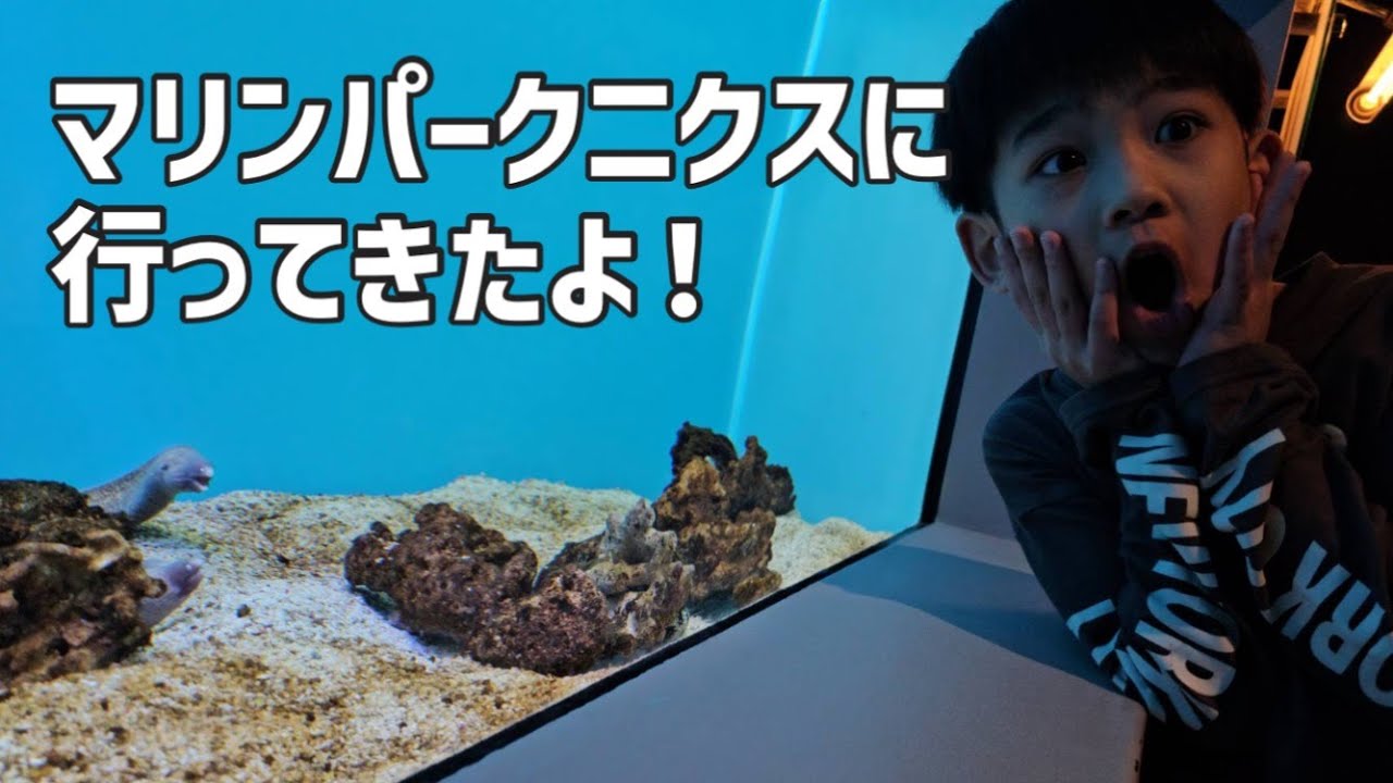 念願の水族館！！登別マリンパークニクス【7歳】