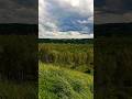 #shortsvideo#nature#travel#shorts#природа#леса#река#отдыхдлядуши#лето2025