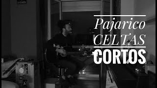 Pajarico - Celtas Cortos Cover Víctor Tranze