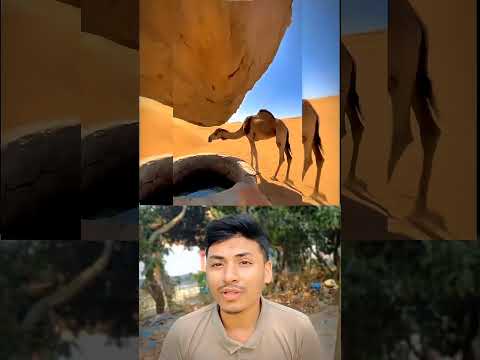 সৌদি আরবের এইটা কোন জায়গা? #shorts #saudiarabia #ytshorts #moruvumi #vairalvideo #ut #islamicvideo