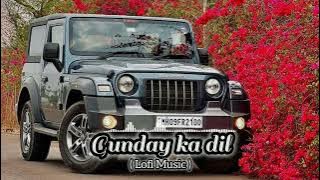 Gunday Ka  Dil Pe Raj ( Lofi Music ) gunday ka dil pe raj kare se Lofi Song