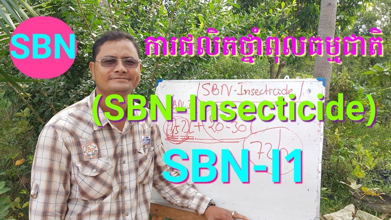 ការផលិតថ្នាំពុលធម្មជាតិ SBN-I1 |Soy Bona|