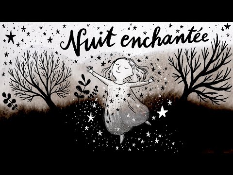 Nuit Enchantée Illustration Animation Musique Etc