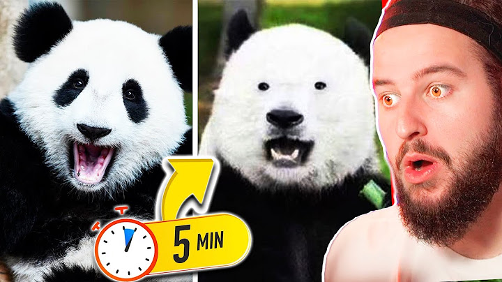 REACTING TO THINGS YOU DIDN'T KNOW 5 MINUTES AGO [45] SVU