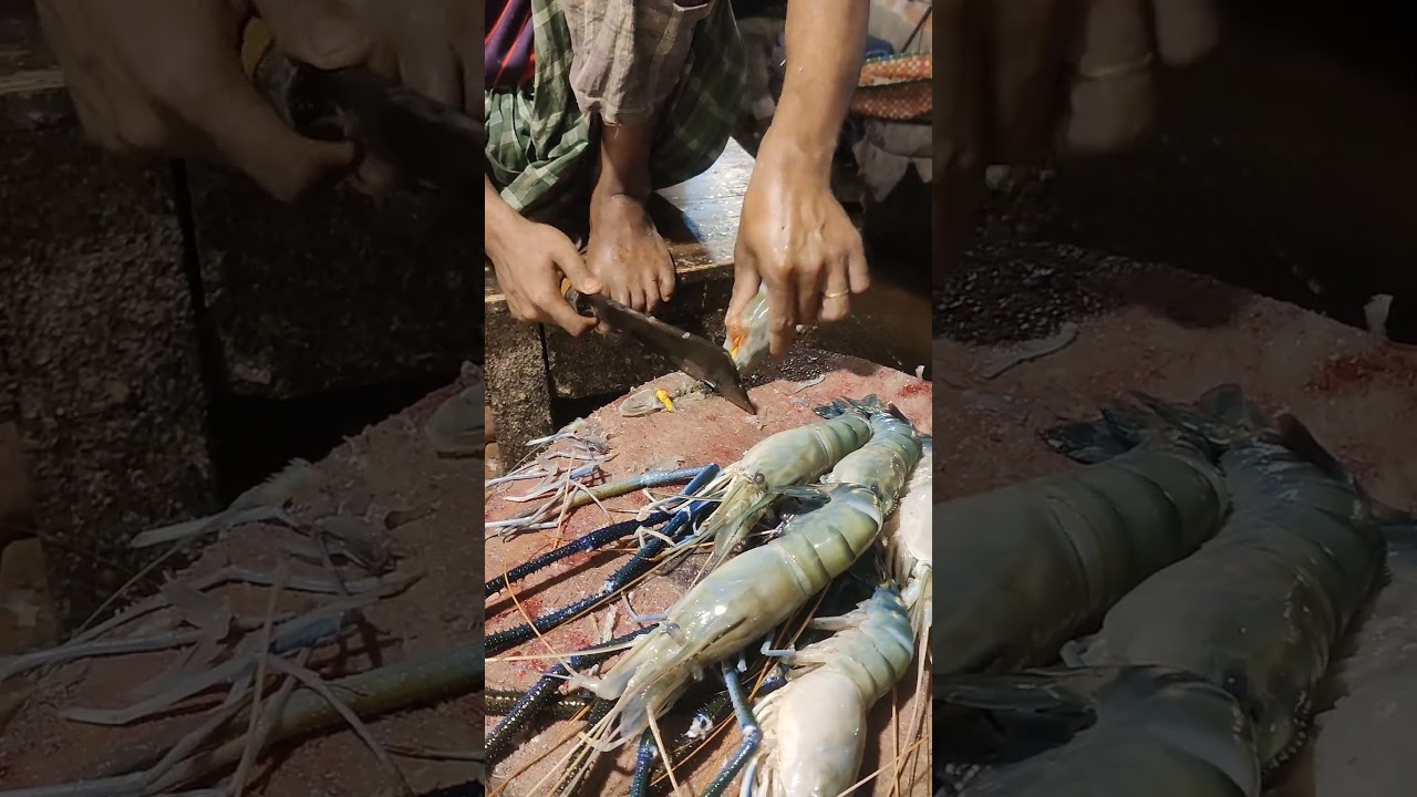 Amazing Prawns Fish Cutting & Cleaning By Great Fish Cutter part-3 