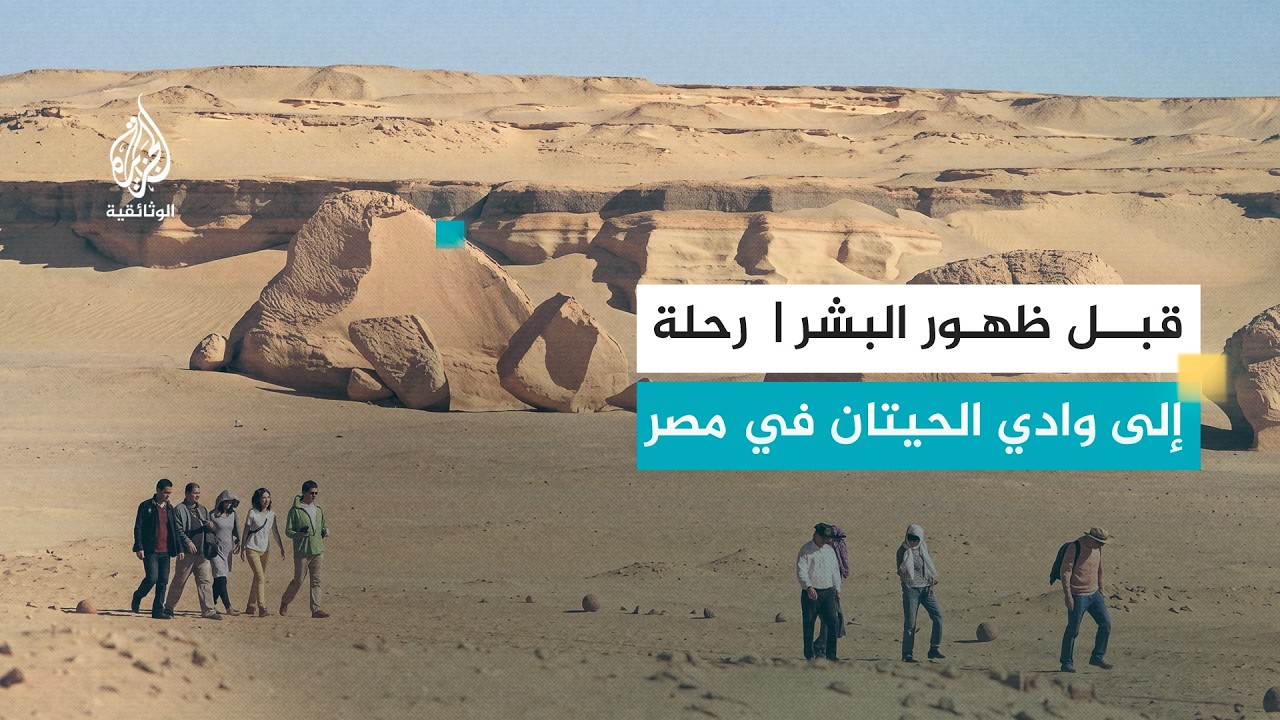 دهاليز.. وادي الحيتان | أسرار عمرها 40 مليون عام في قلب الصحراء المصرية