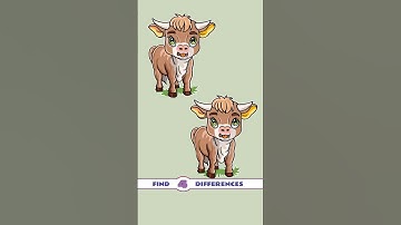 Find four differences,#437 #puzzle