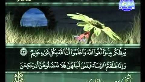سورة البقرة من الآية 226 الى الآية 233