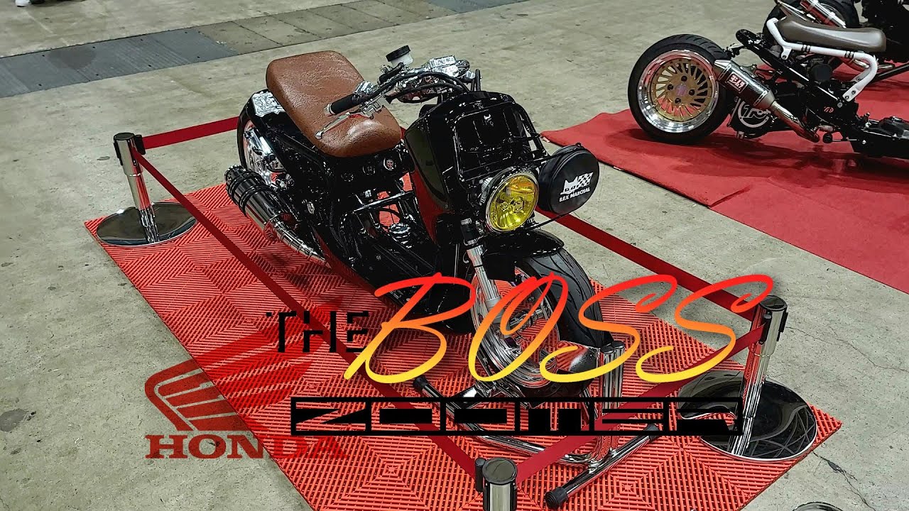 50CC JAPANESE HONDA ZOOMER BIKE POPULAR MINI BIKE JAPAN CAR