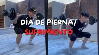 5 RAZONES para NO Saltarte el Día de Pierna