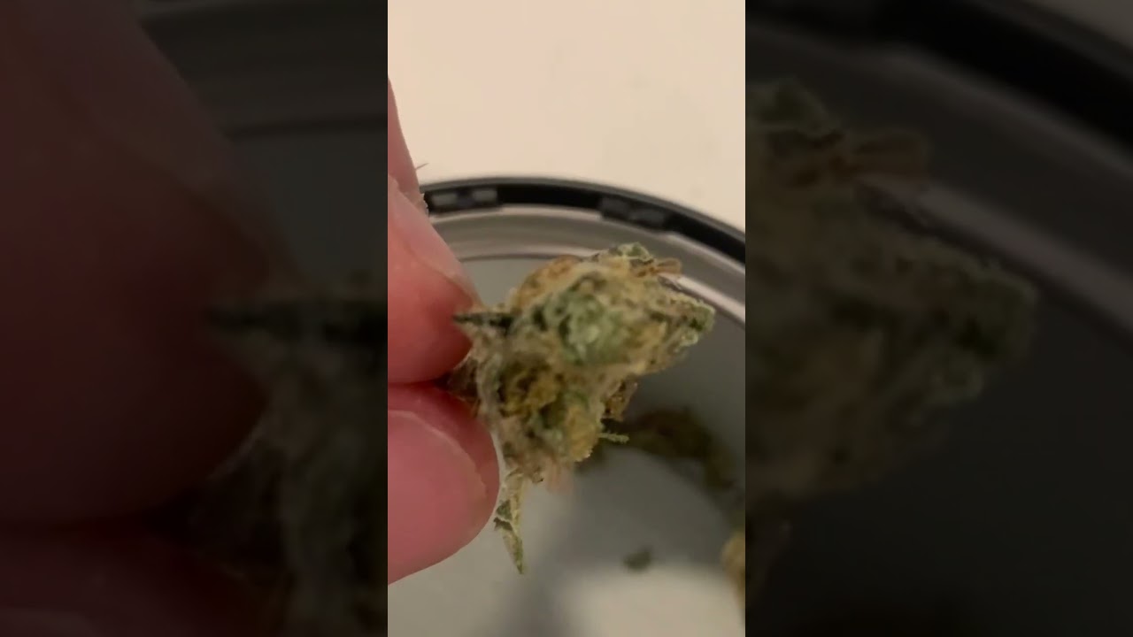 SQDC Chemdawg #44 Review