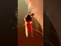 anopheles mosquito