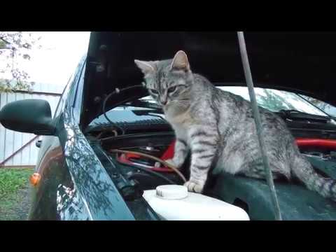 Замена датчика скорости на калине