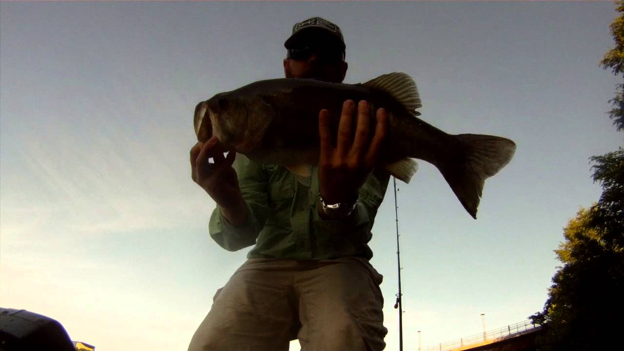 Bass fishing Lady Bird Lake YouTube