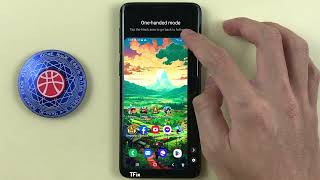 One-handed mode on Samsung S9 Android 10 by TFix 19 views 4 days ago 1 minute, 36 seconds