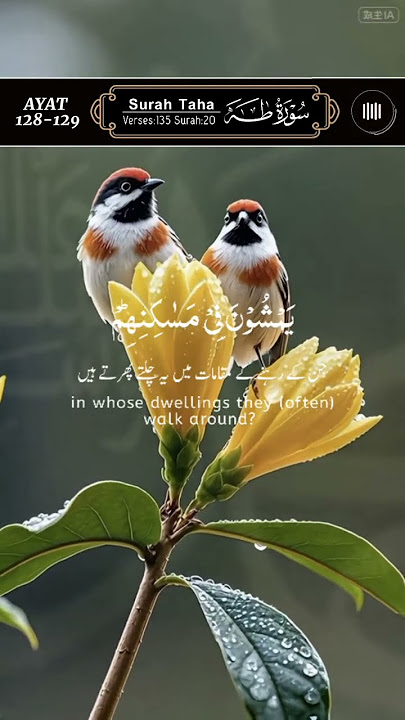 Surah Taha by Qari Fozle Azim, Ayat 128-129, سورۃ طٰہ #surahtaha #quran #birds #shorts #viral #islam