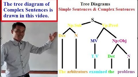 Learning English Grammars: Tree Diagrams - Simple &Complex