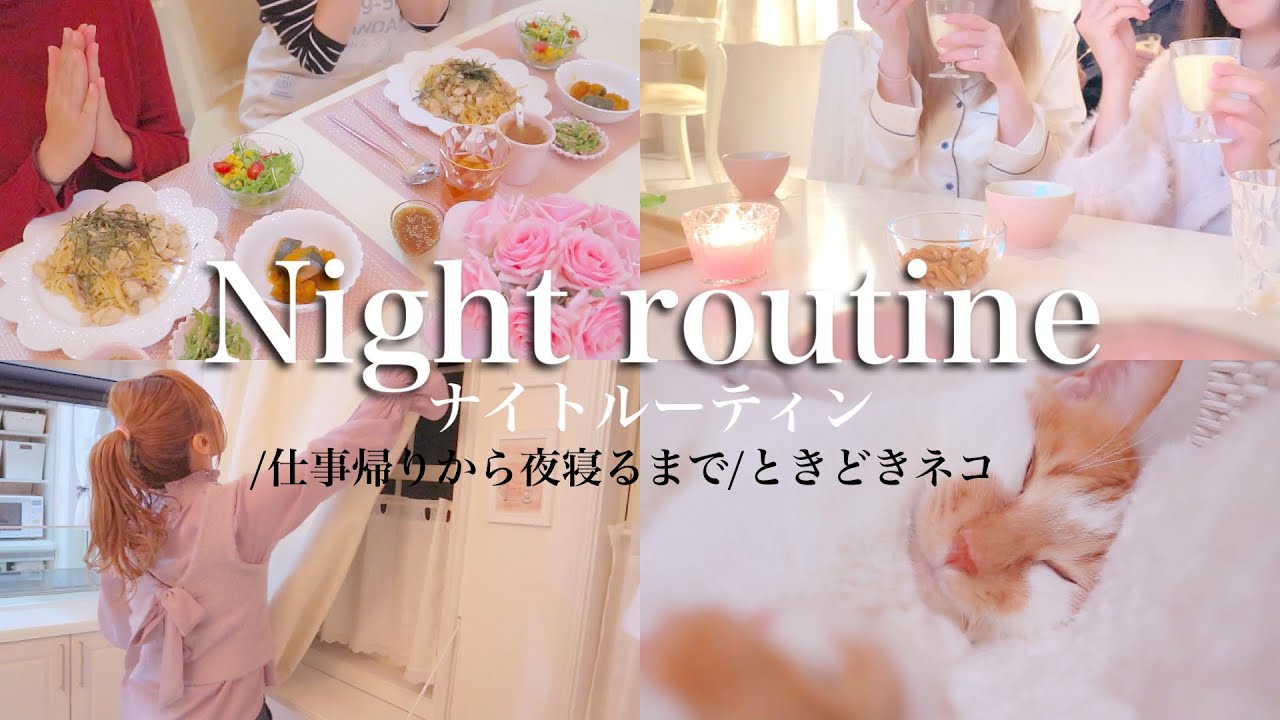 51. [ナイトルーティン]♡仕事帰りから夜寝るまでのナイトルーティン♡ときどきネコ