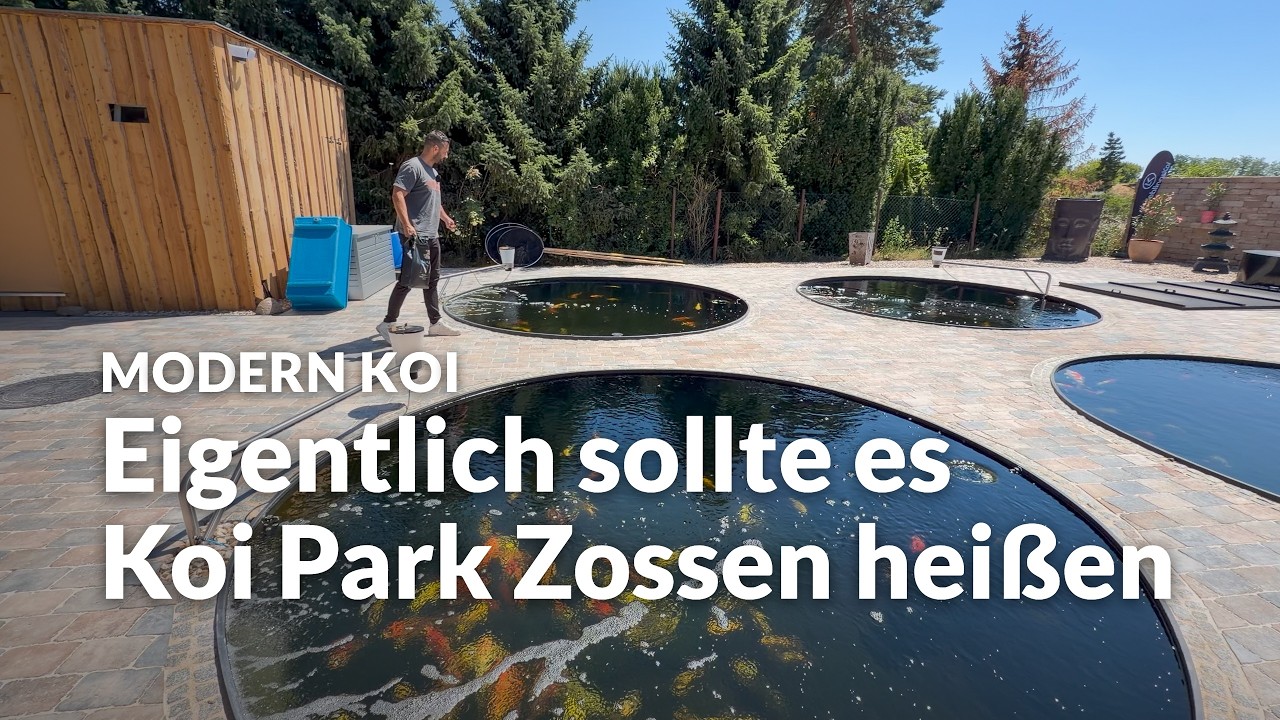 Matze und Hankas neue Anlage bei Koi Zossen | Modern Koi Blog #8227