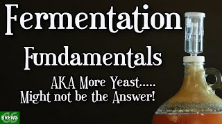 Fermentation Fundamentals  More Yeast Is NOT the Answer!