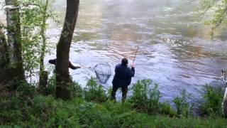 El campano de Galicia sale en Ximonde