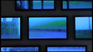 IMMANENT by Paul Wong: Winsor Gallery 2011