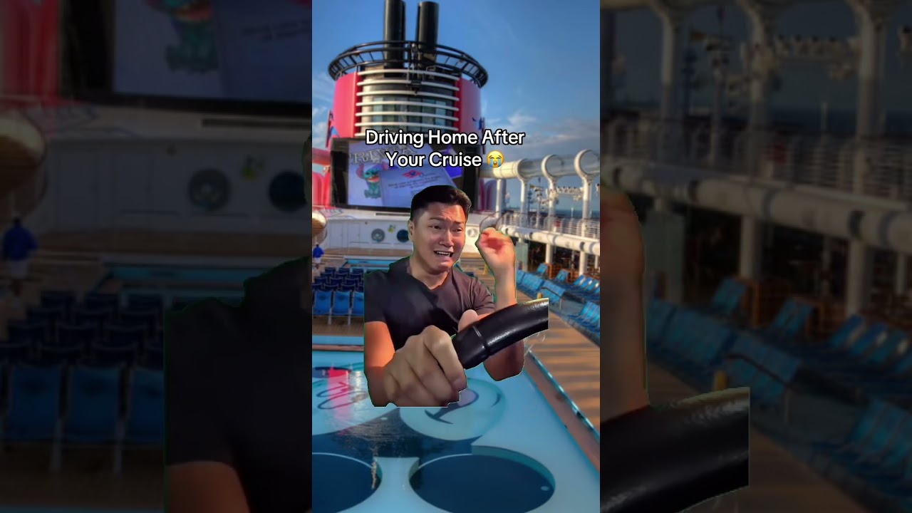 The Drive Home After The Cruise-True Pain 