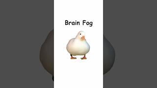 Brain Fog Explained By Ducks