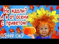 Шуточный привет от осени  Юмор для друзей