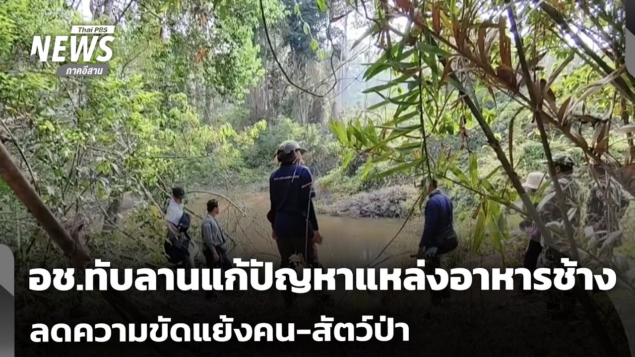 อช.ทับลานแก้ปัญหาแหล่งอาหารช้าง ลดความขัดแย้งคน-สัตว์ป่า | จับตารอบทิศ | 4 มี.ค.69