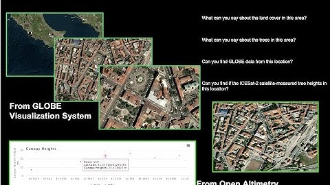 Looking at an image to compare ground-based and space-based tree height observations.