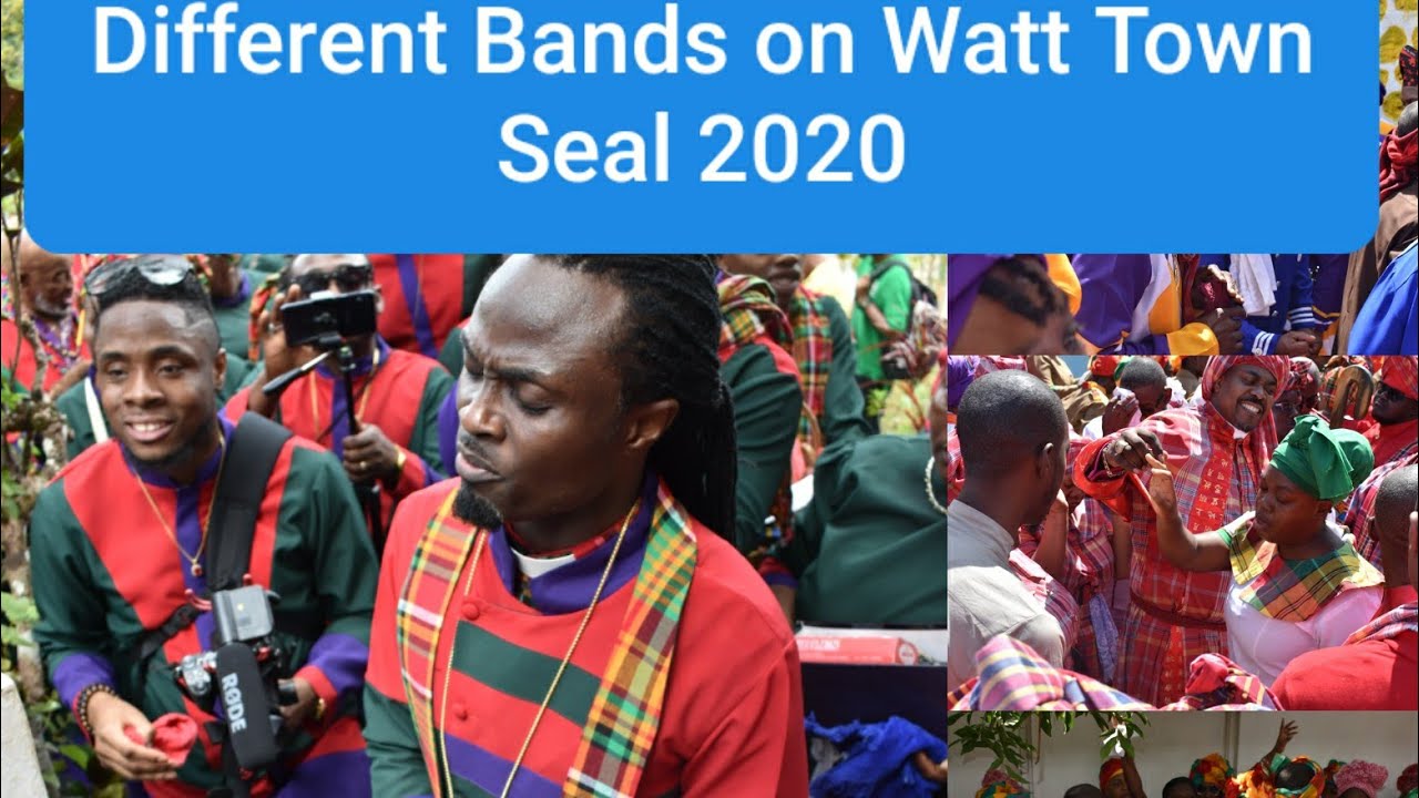 Watt Town 2020 Different bands on the seal