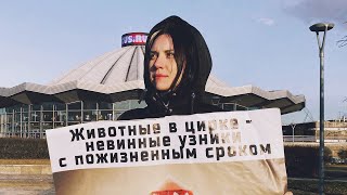 Пикеты против репрессий зоозащитников и цирков с животными