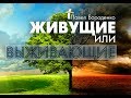 Живущие или выживающие | Павел Бороденко