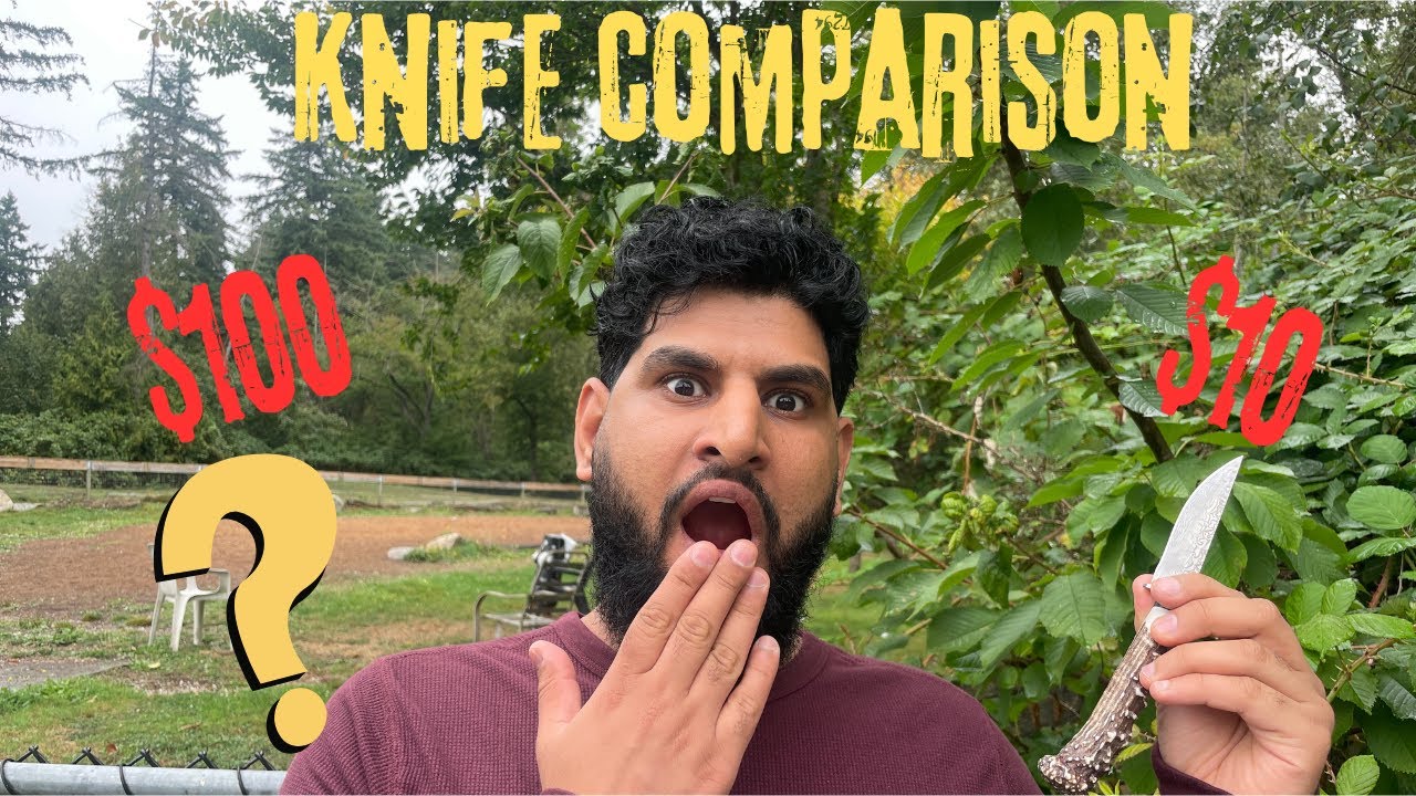 $10 TEMU Knife vs $100 PREMIUM Knife – SHOCKING Results 🔪