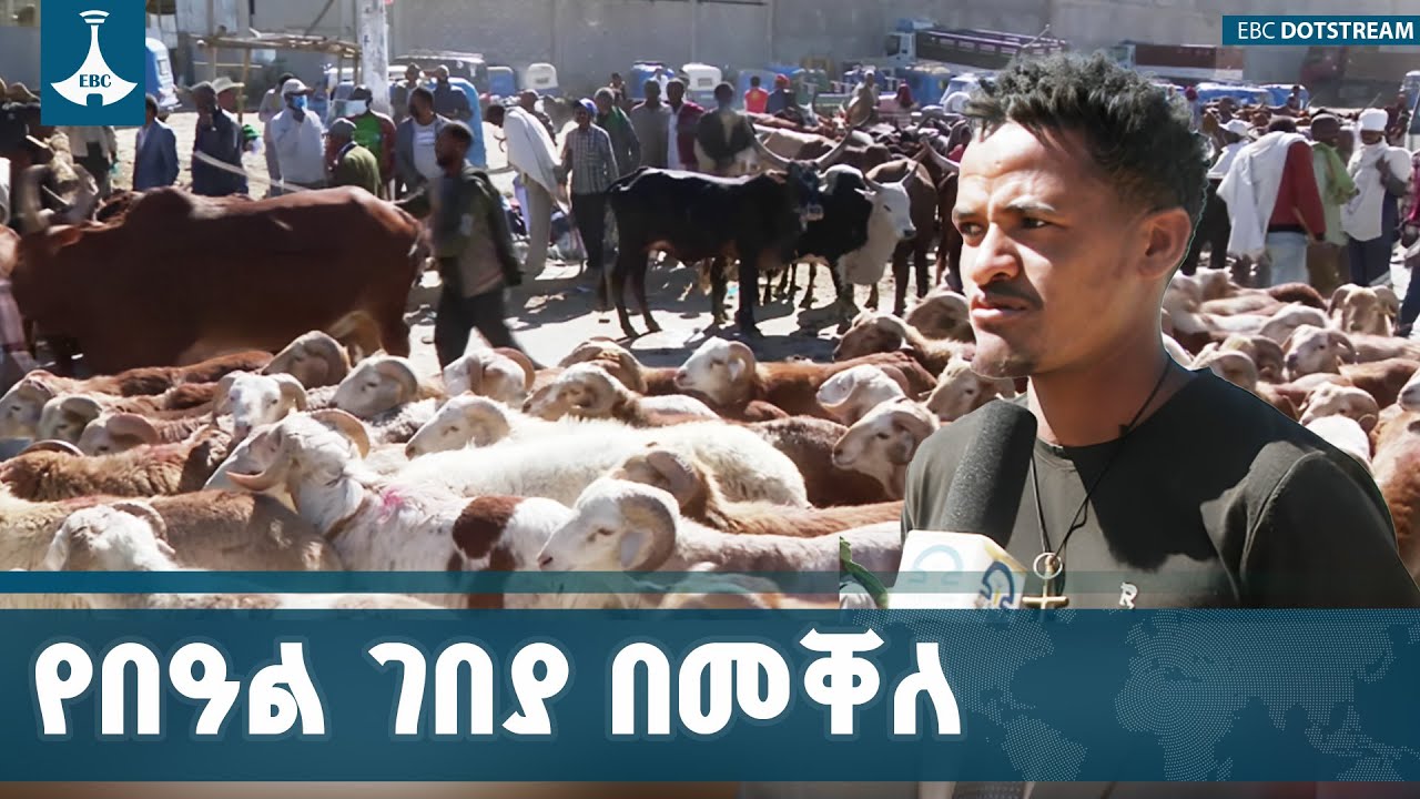 የበዓል ገበያ ድባብ በመቐለ ከተማ ምን ይመስላል? | Mekelle | Market | Ethiopian Christmas | ETV | EBC | EBCDOTSTREAM