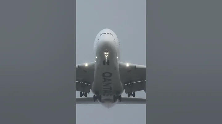 Sydney Plane Spotting - Qantas A380 in the rain #planespotting #planes #aviation #qantas #a380