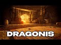 Skyrim Dragonis 1.2 | Что то делаем