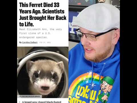 Welcome... to Ferret Park