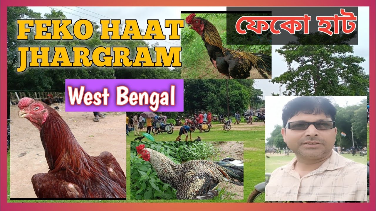 Feko Haat|Jhargram district| West Bengal|Kukru |Poradih |Balarampur|Murga market| Aseel murga price