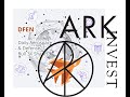 Разбор псевдо реплики ARKX - DFEN_etf и опцион на него. Фонд с плечем X3