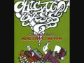 CHICAGO BASS - MENZ STORY