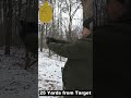 Snub Nose Revolvers Aren't Accurate? 25 Yard "Headshot" on Steel